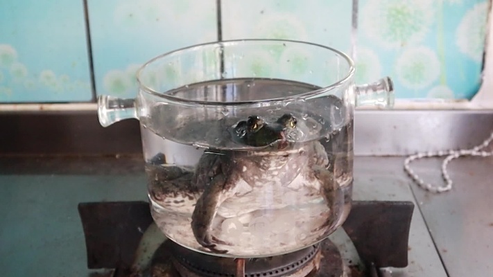 小伙实验温水煮青蛙，有趣又好玩，不用再看国外小伙的实验了