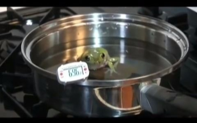 温水煮青蛙实验