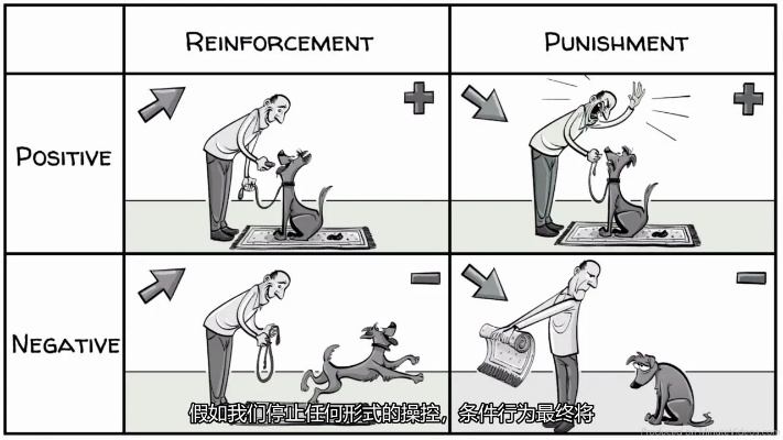 斯金纳的操作性条件反射-强化理论(Skinner Operant Conditioning-Rewards&Punishments)