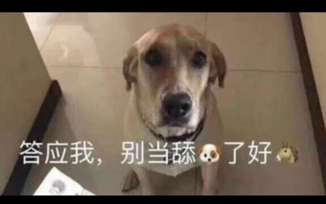 舔狗是什么?
