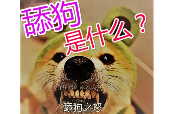 舔狗是什么?你认为的舔狗是什么?你是舔狗吗?【舔狗社会学上册】