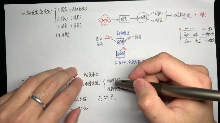 333教育心理学-皮亚杰认知发展阶段理论(讲解 带背)
