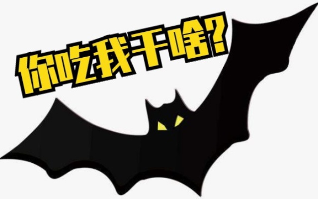 一只蝙蝠的自述：“我真的有那么美味吗？