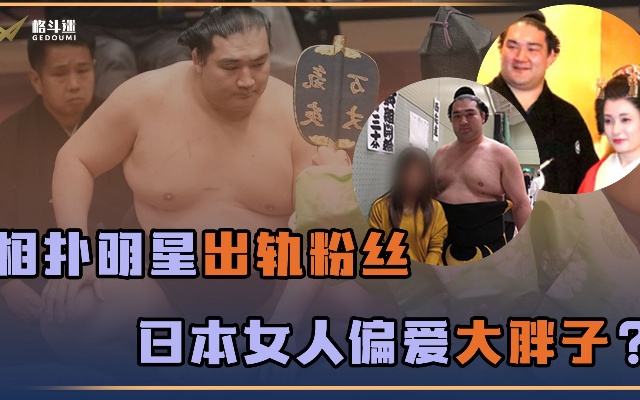相扑明星出轨40岁粉丝被查！为何日本美女钟爱这些“大胖子”？
