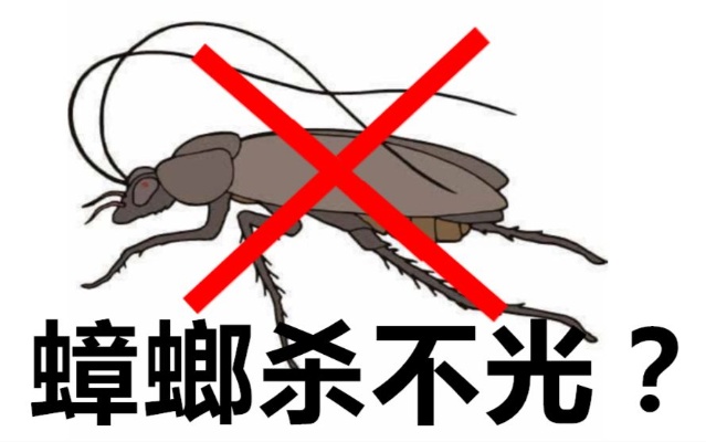 各种杀虫剂灭蟑螂不能根除？真正的原因竟然是这样！萝王介绍能彻底根除蟑螂的办法！