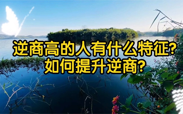 逆商高,才有更加成功和幸福的人生!逆商高的人有什么特征?如何提升逆商?