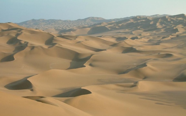 文 化 沙 漠