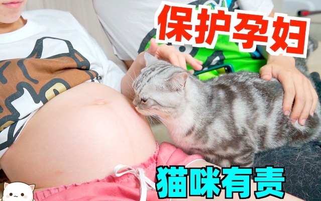 孕妇大喊：救命！家里的猫马上冲过来保护！