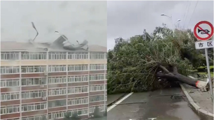 [早报]吉林遭台风影响楼房屋顶被掀翻 路边大树连根拔起