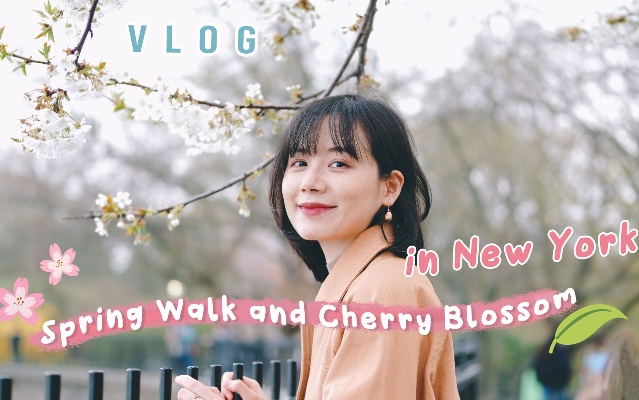 风景散文|你知道樱花又叫梦见草吗？漫步樱花满开的纽约 中央公园散步