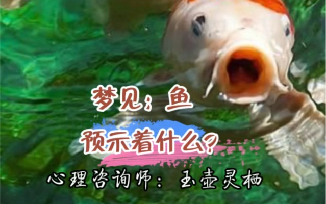 释梦：梦见“鱼”预示着什么？