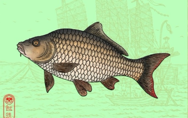 自然物语 常见的淡水鱼类