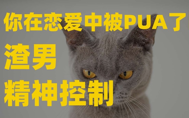 PUA\/精神控制\/亲密关系问题,恋爱中的那些心理研究