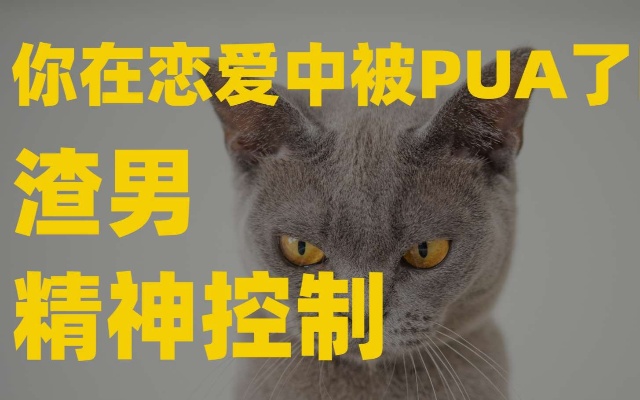 PUA\/精神控制\/亲密关系问题，恋爱中的那些心理研究