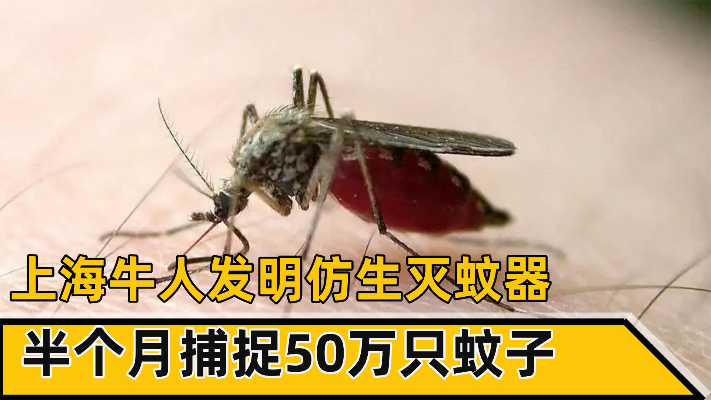 上海牛人发明仿生灭蚊器，半个月捕捉50万只蚊子，成为蚊子的梦魇
