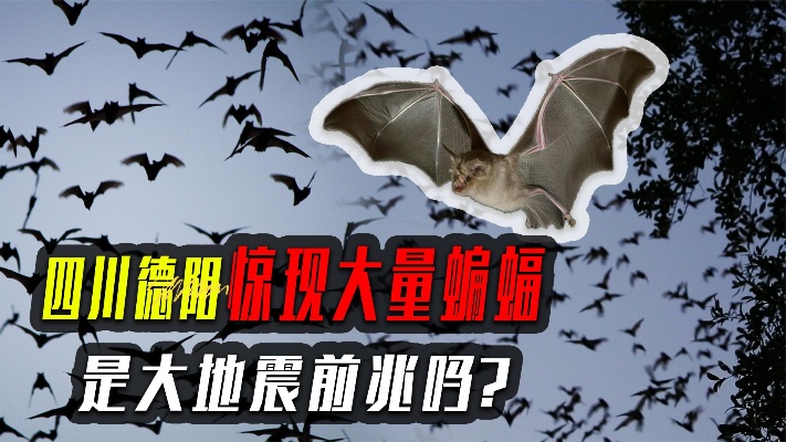 四川德阳被蝙蝠入侵，这预示着什么？必须带好口罩！