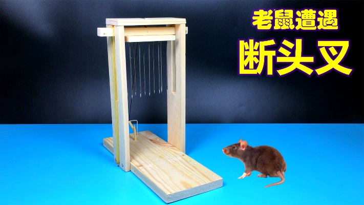 老鼠遭遇断头叉-DIY捕鼠神器系列（22）