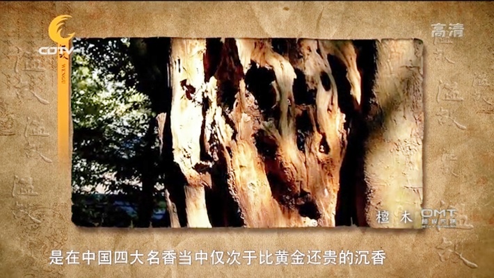 檀木在中国四大名香中仅次于沉香 因此中国人成檀香山的常客