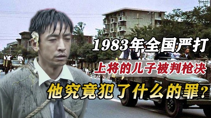 1983年全国进行严打，上将陈再道的儿子被判枪决，他犯了什么罪？