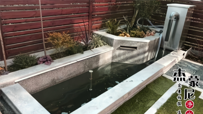 庭院鱼池，使用鱼池过滤器3天效果显而易见，水清鱼美！