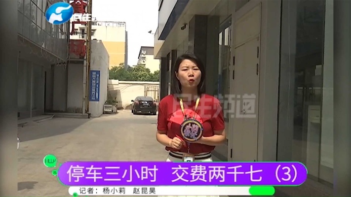河南郑州：停车三小时交费两千七，又一车主停车被收费九千多！