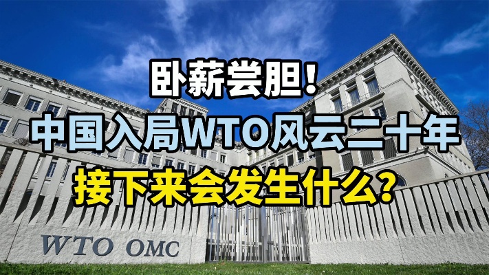 卧薪尝胆！中国入局WTO风云二十年，接下来会发生什么？