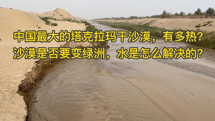 都说新疆这边缺水，新疆的枣树怎么浇水？大多数人都想不到！
