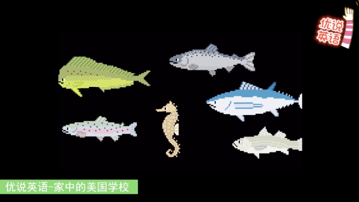 认识12种常见的海鱼和观赏鱼，小丑鱼三文鱼金枪鱼鲈鱼等等