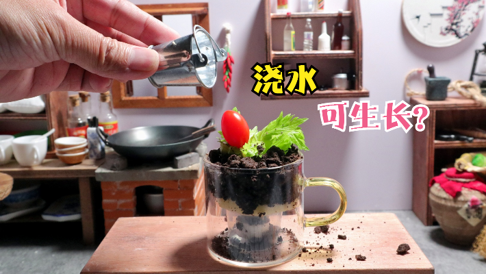 迷你厨房，如何做出可生长可食用的盆栽?