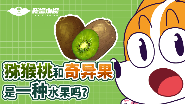 猕猴桃和奇异果是一种水果吗？