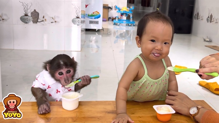小猴为吃酸奶能使出多少绝技？和四脚兽一起吃酸奶超萌！