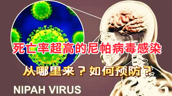 曾被列为潜在高危传染病尼帕病毒，致死率高达75%，病毒从哪里来