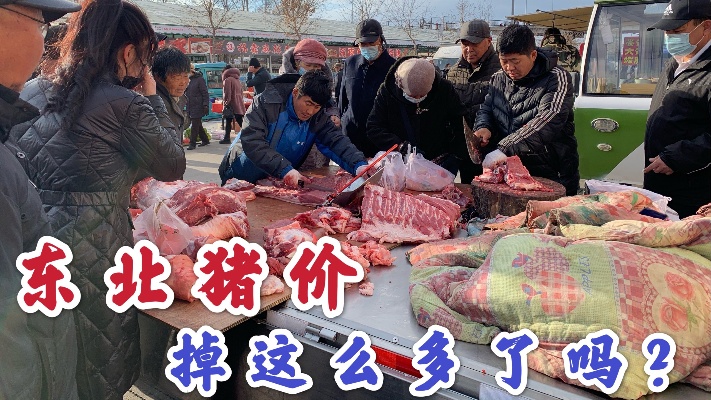 东北大集的猪肉价格跌入冰点，肉价重回“十元时代”，还会再涨吗