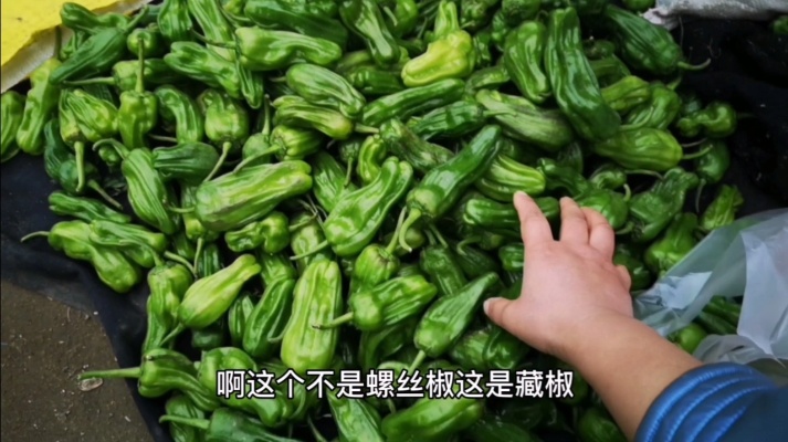 12月14号山东农村大集市，辣椒多少钱一斤？这价格贵吗？