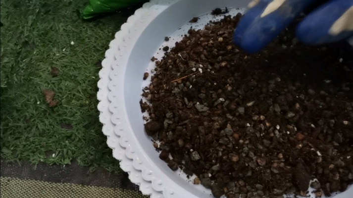 拆箱测评多肉土，种多肉用什么土好：麦饭石颗粒土营养土配珍珠岩