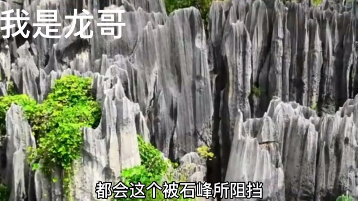 世界自然奇观云南石林，这些形态各异的石头简直像天外来物