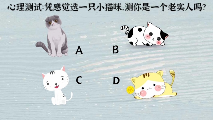 心理测试：凭感觉选一只小猫咪，测你是一个老实人吗？