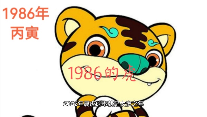 1986年的虎在2022年的运程