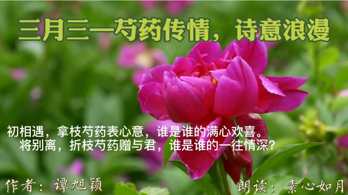三月三又称上巳节、情人节。是历史悠久充满诗情画意的传统节日！