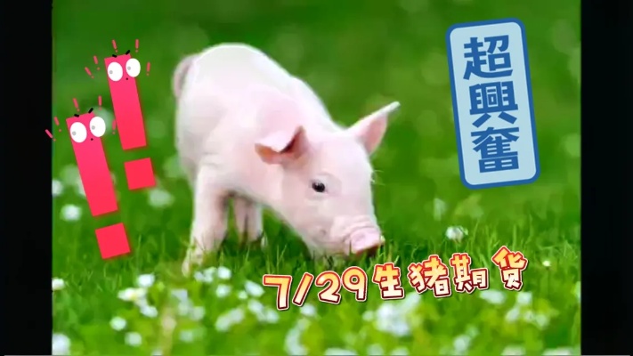 7\/29九月生猪期货:踔厉奋发#生猪价格走势