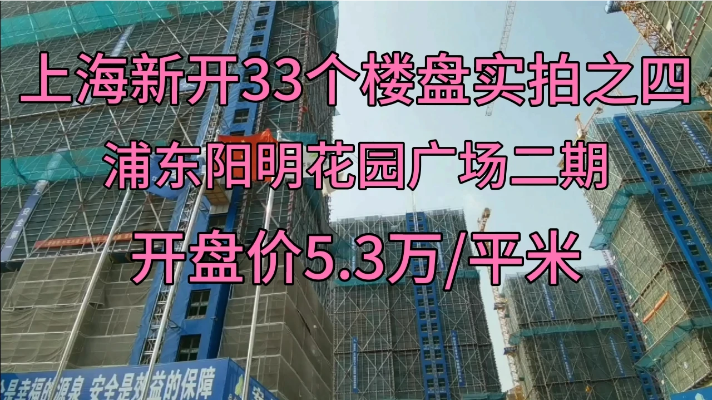 上海新开33个楼盘实拍之四～浦东阳明花园广场二期5.3万\/平米