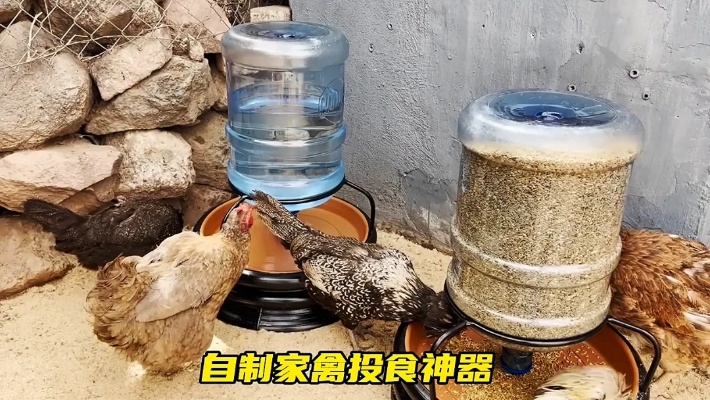 利用废弃的饮水桶就制作出干净卫生的家禽投食神器，简直太实用了