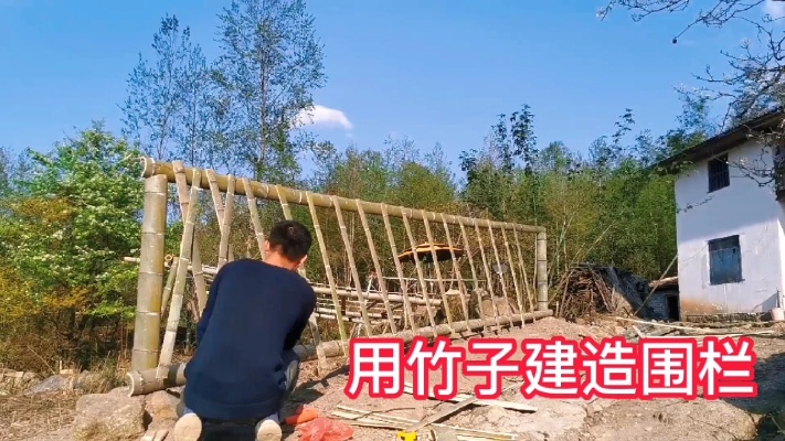 用竹子建篱笆围栏，稳固实用又美观，年轻人动手能力就是强