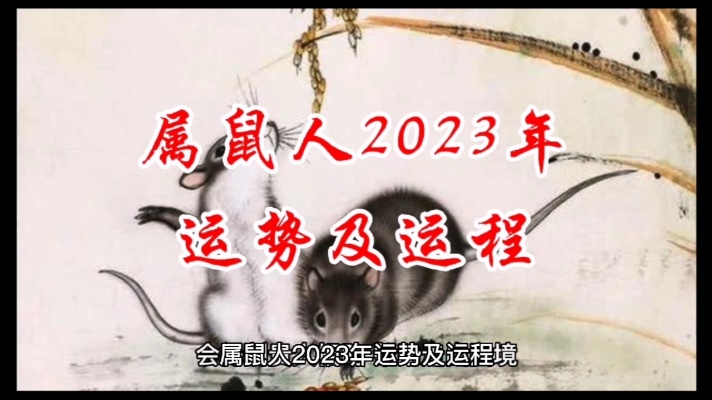 属鼠人2023年运势及运程