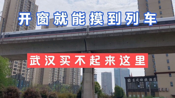 挨着高架建设的城市，武汉刚需逼不得已的备选区域，已突破一万！
