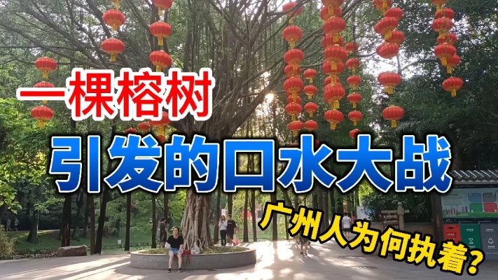 你认同榕树作为广州近代历史的见证“树“吗？看过发光的榕树吗？