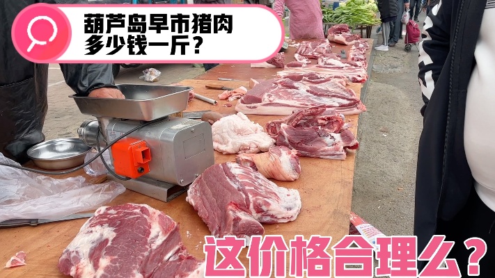 葫芦岛猪肉涨价太多了！看4月28日早市卖多少钱一斤？价格合理么