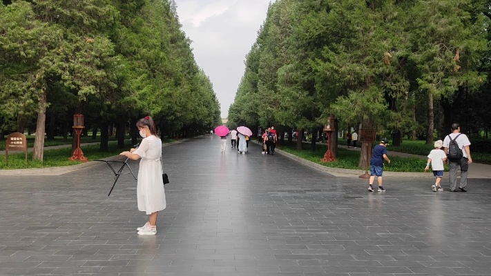 北京最美林荫大道在天坛公园里，很多人在此打卡不舍得离开