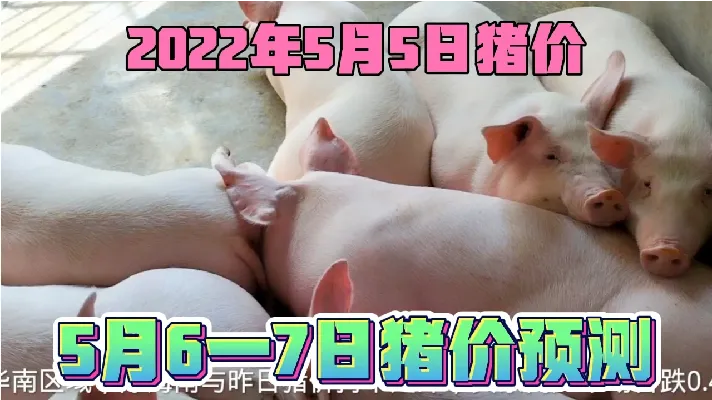 2022年5月5日猪价，5月6一7日，猪价预测