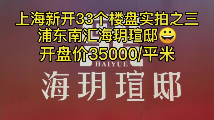 上海新开33个楼盘实拍之三～浦东南汇海玥瑄邸，开盘价3.5万\/平米